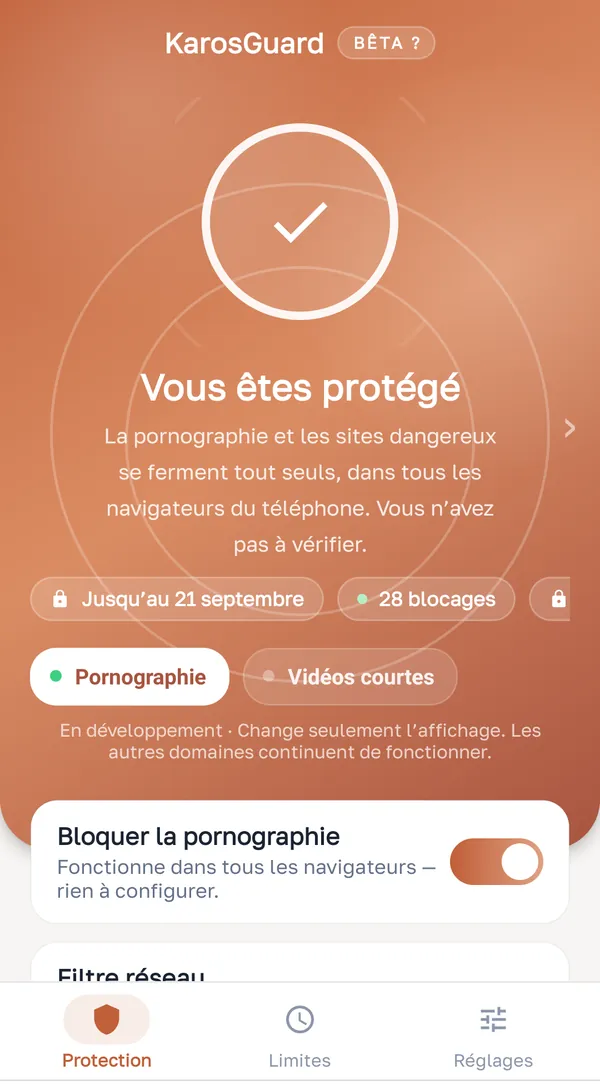 Blocage du contenu adulte