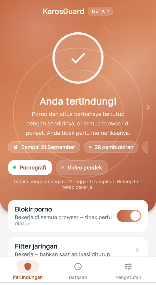 Memblokir konten dewasa