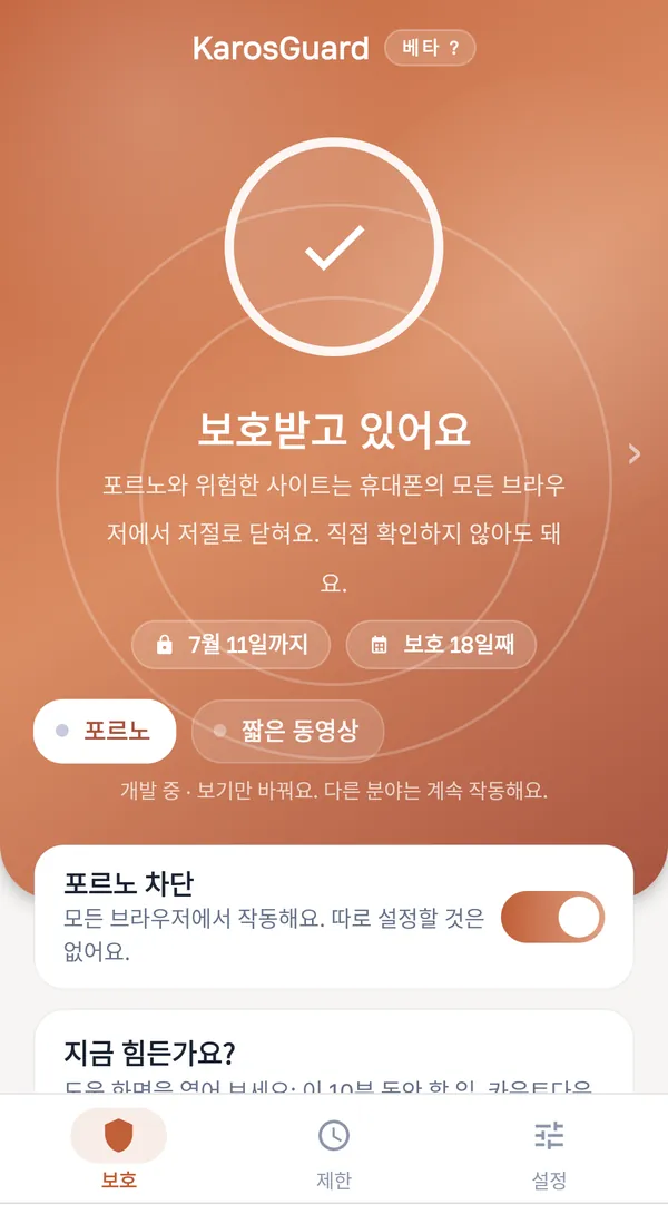 포르노 차단
