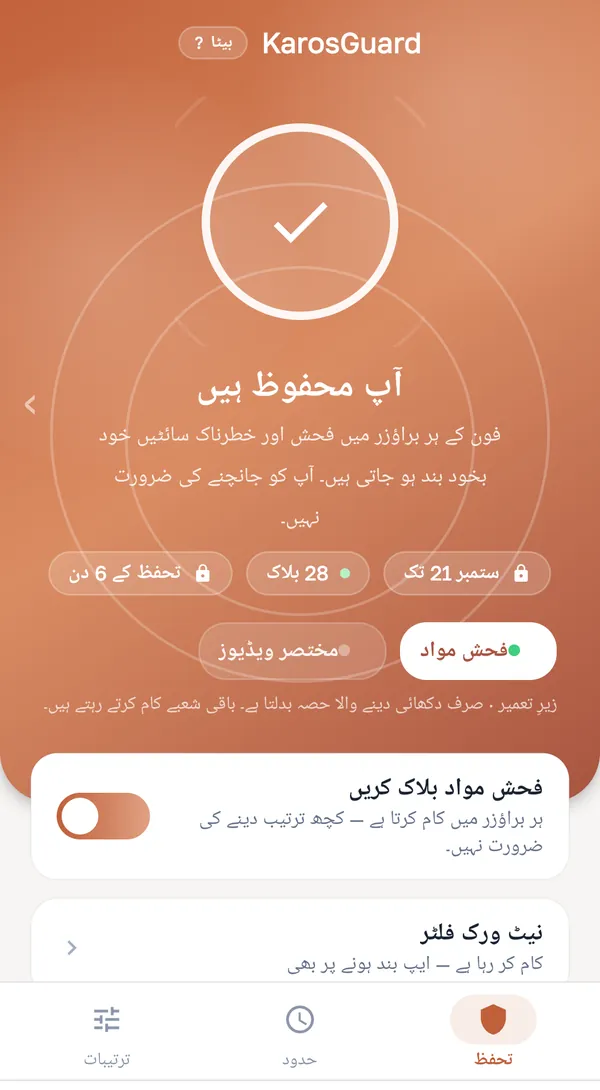بالغ مواد بلاک کرنا
